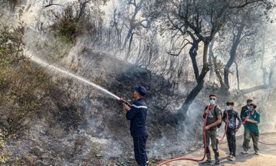 © INTERLIGNES | Les pompiers, soutenus par la population, combattent les feux de forêts